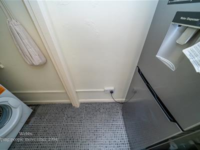 Picture 13
